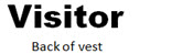 Visitor